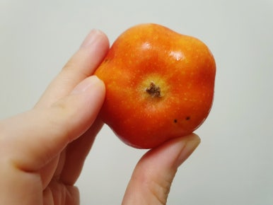 청백반점 이미지