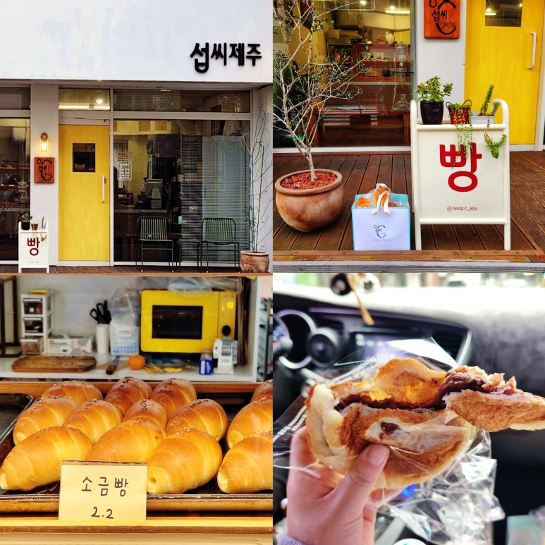 섭씨제주 이미지