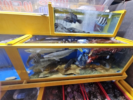 부산자갈치생선구이 이미지