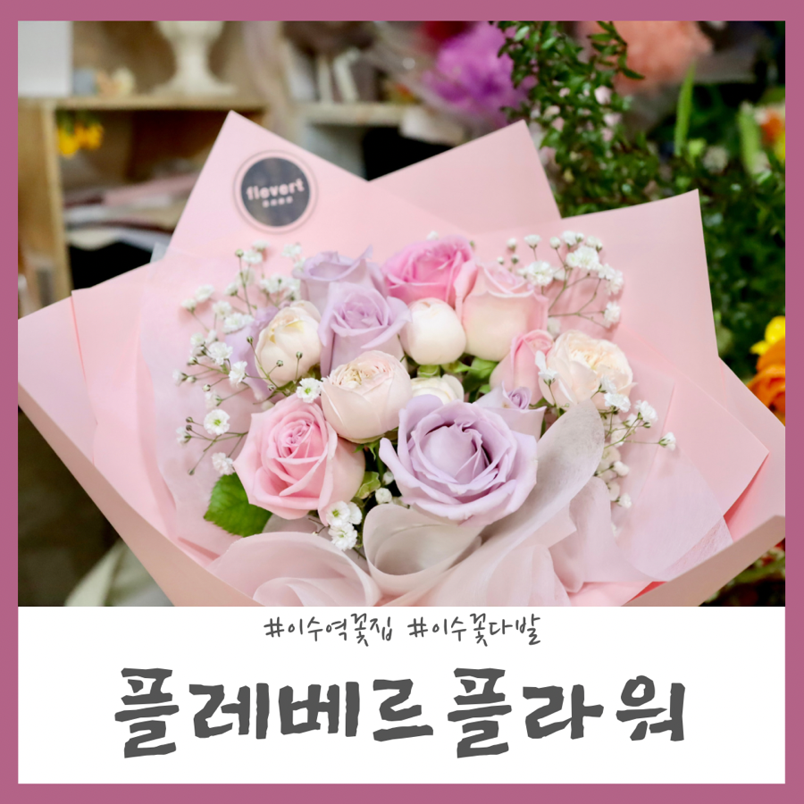 플레베르플라워 이미지