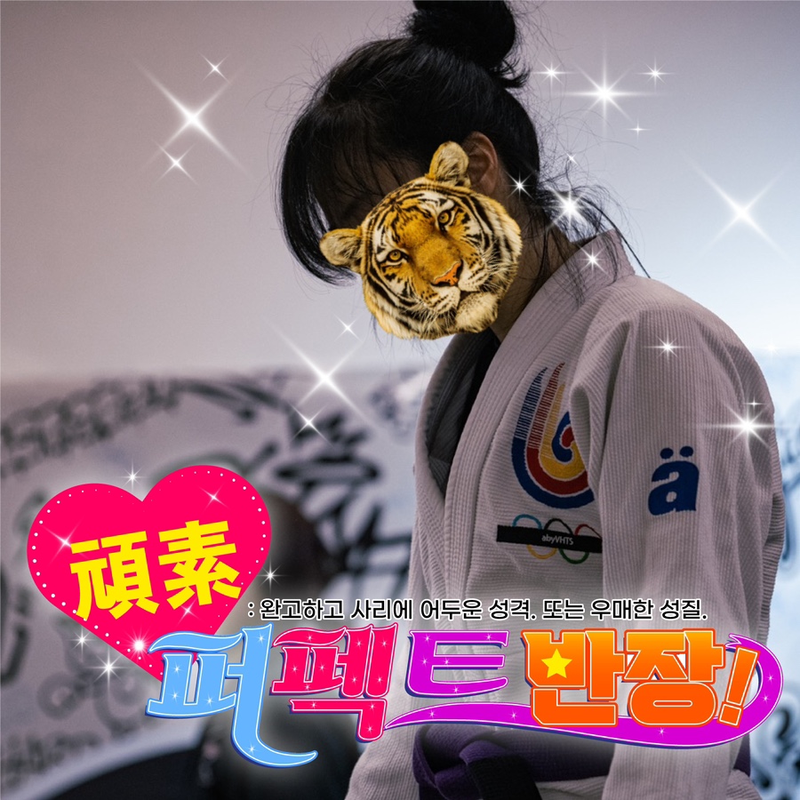 퍼팩트주짓수 이미지