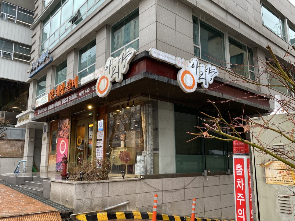 아리양 이미지
