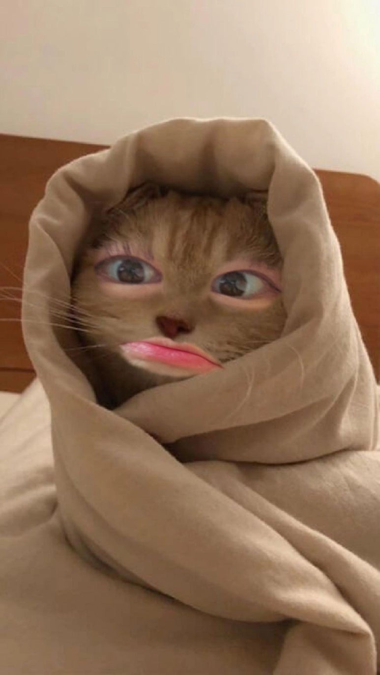 빛의물 이미지