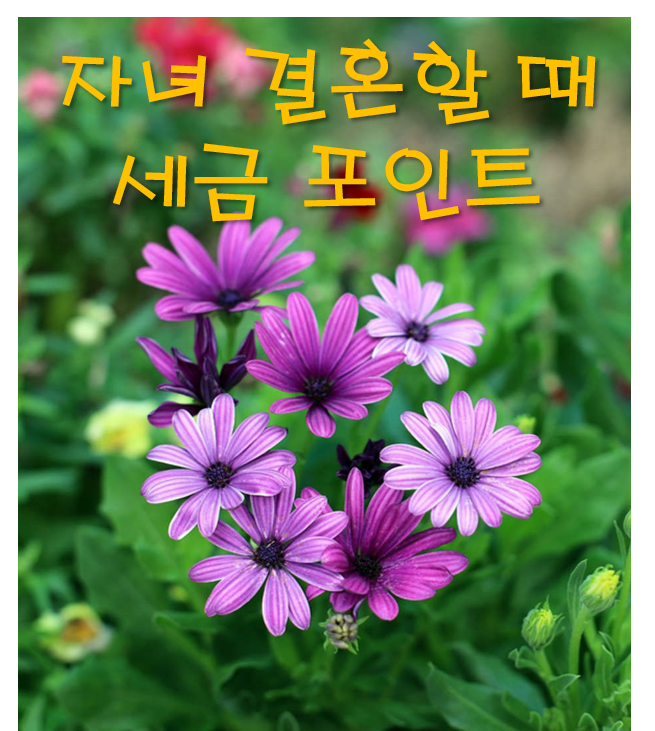 세무사무소가문 이미지