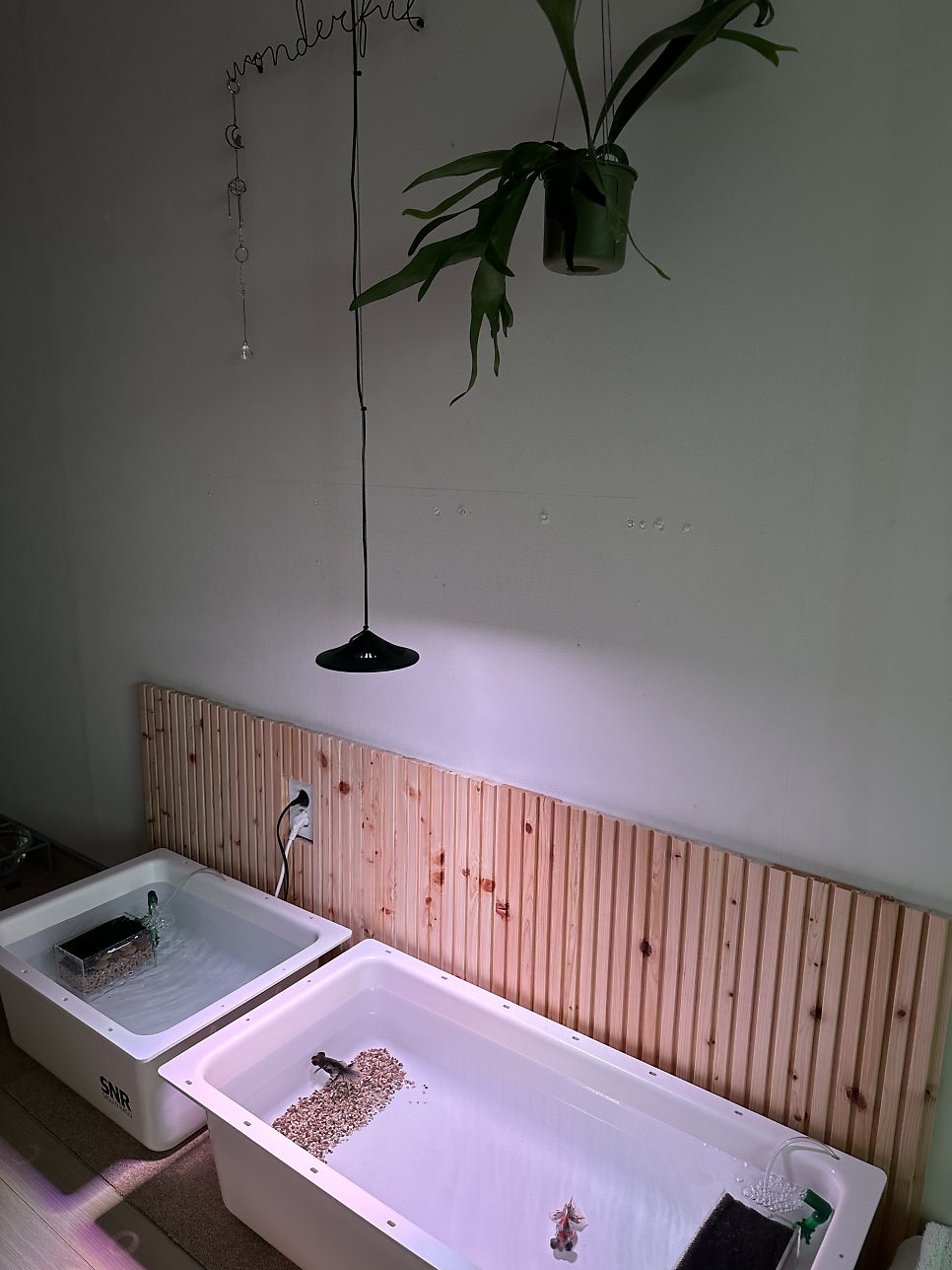 디자인SNR 이미지