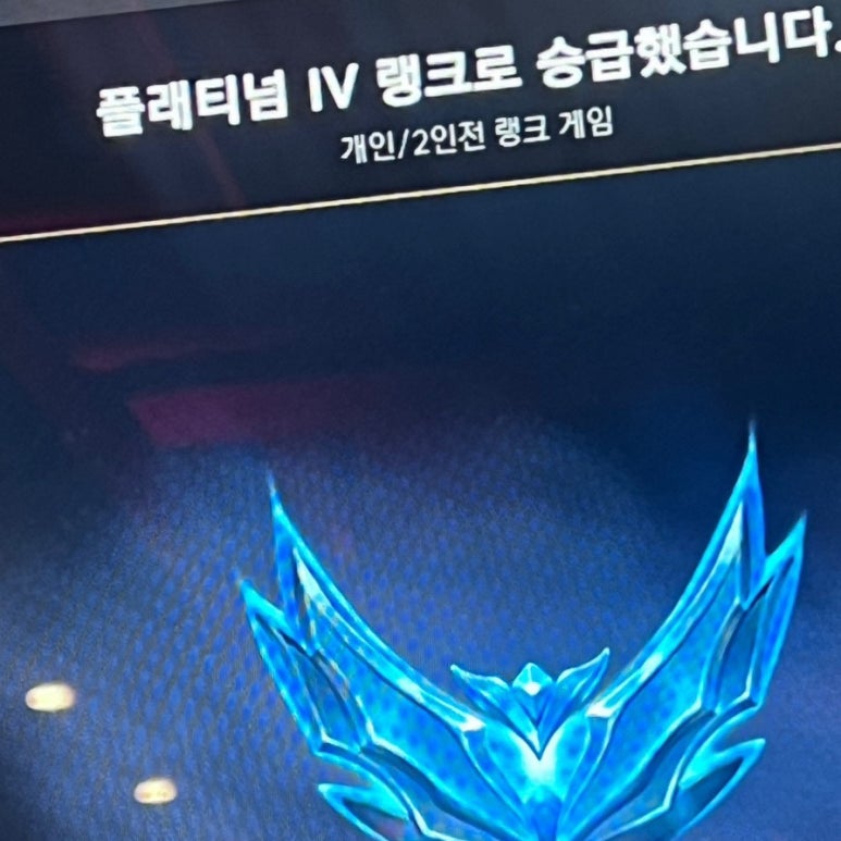 야미뽀 이미지