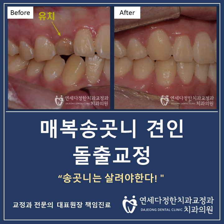 다정한치과의원 이미지