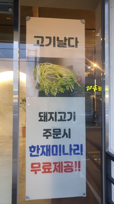 고기날다 이미지