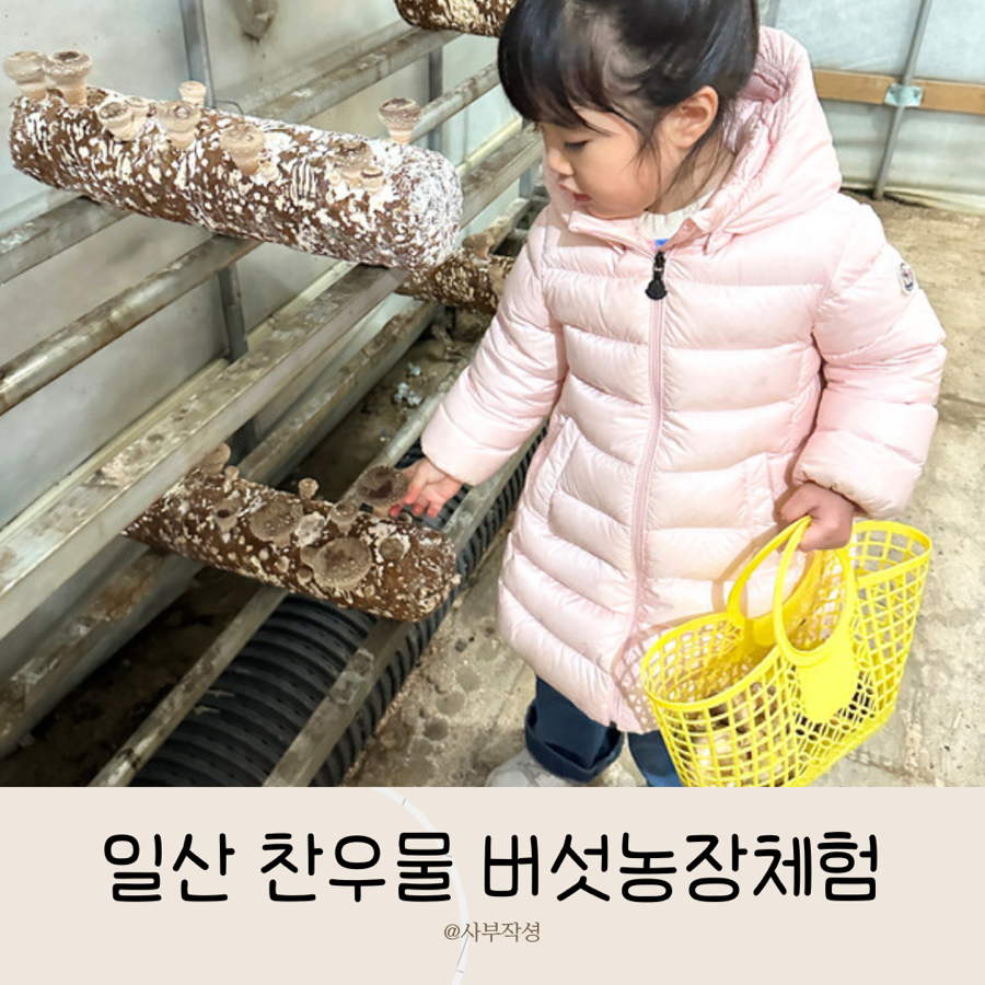 찬우물버섯농장 이미지