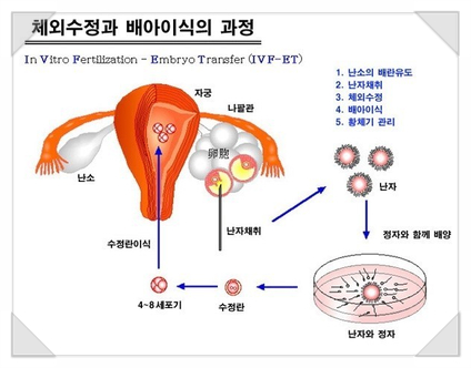(주)성공냉동 이미지