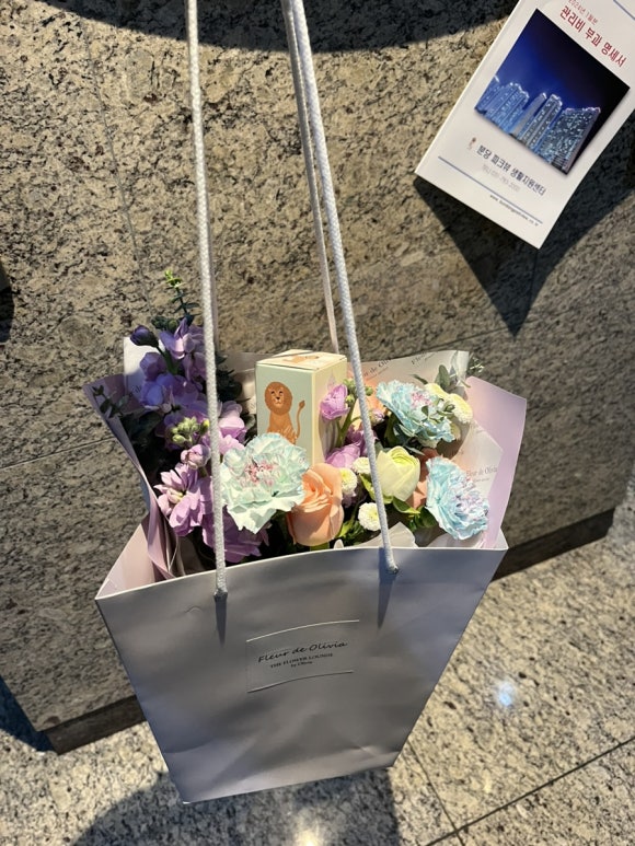 플레르드올리비아 이미지