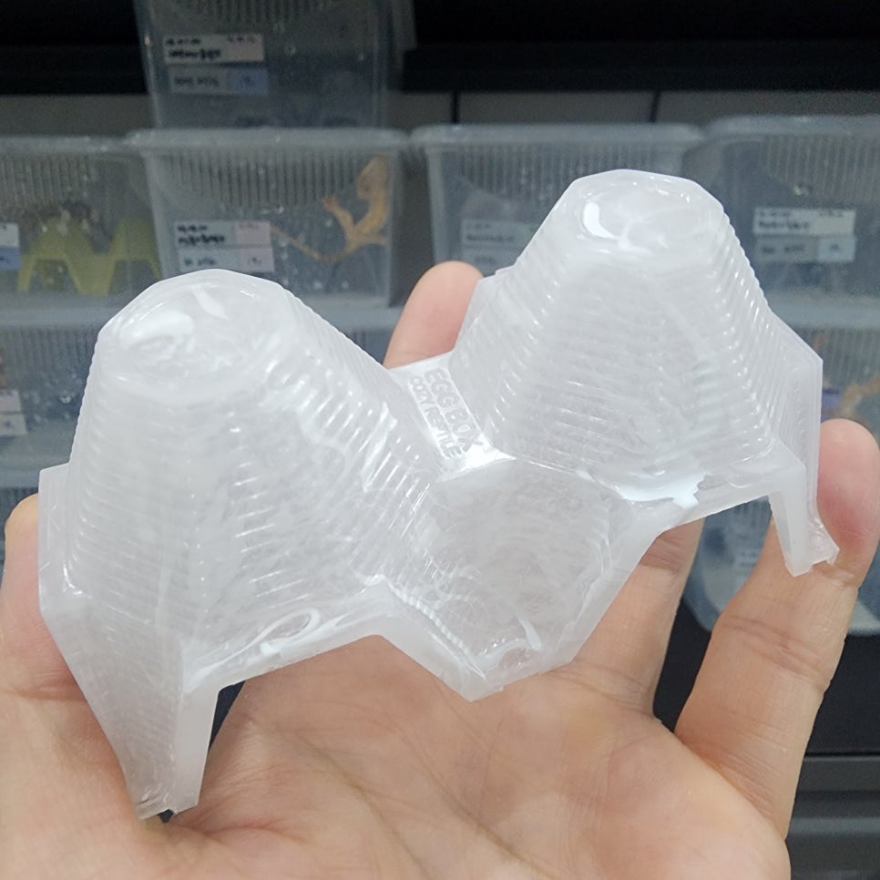 헬로코지 이미지