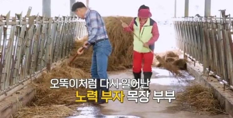 요거트가족 이미지
