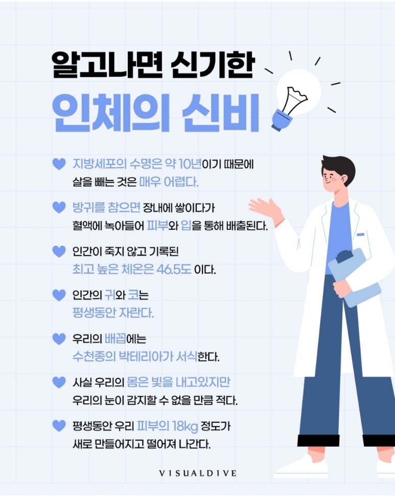 신비코 이미지