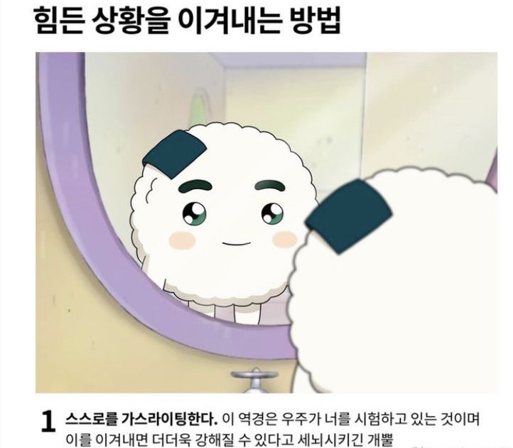 여수족발 이미지