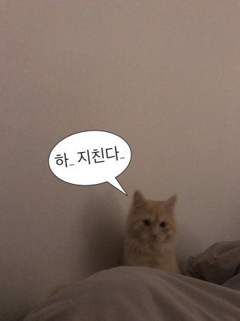 새한광고 이미지