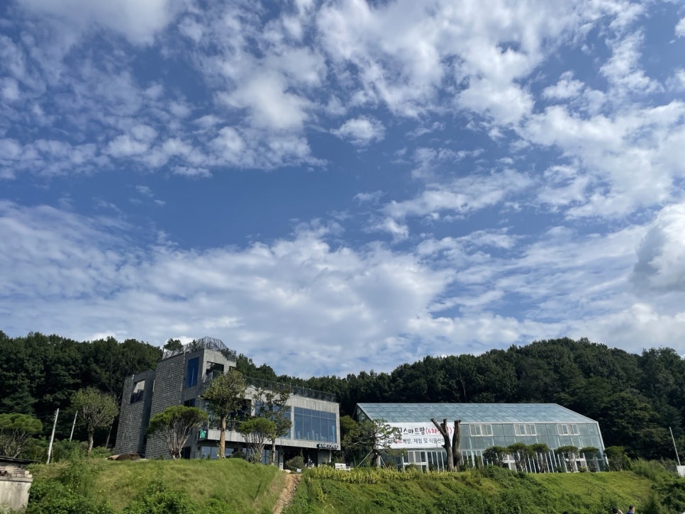 어썸80더대청 이미지