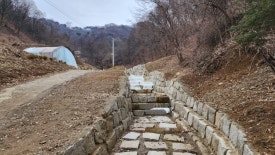 시암골 이미지