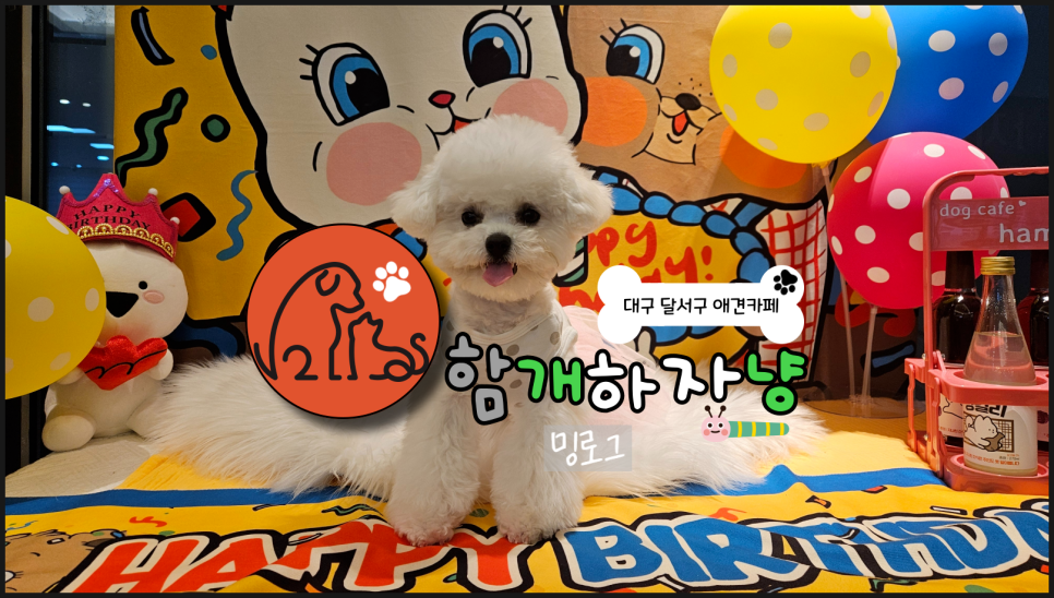 함개하자냥 이미지