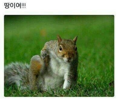 네일로와 이미지
