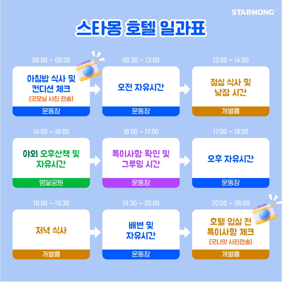 강남 애견호텔 스타몽, 해리의 8박 9일 호캉스 후기 — 사진 9