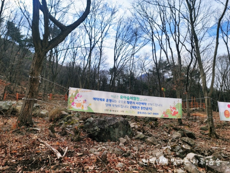 대운산 유아숲체험원 이미지