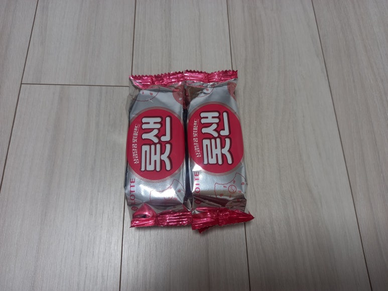 샌드베어 이미지