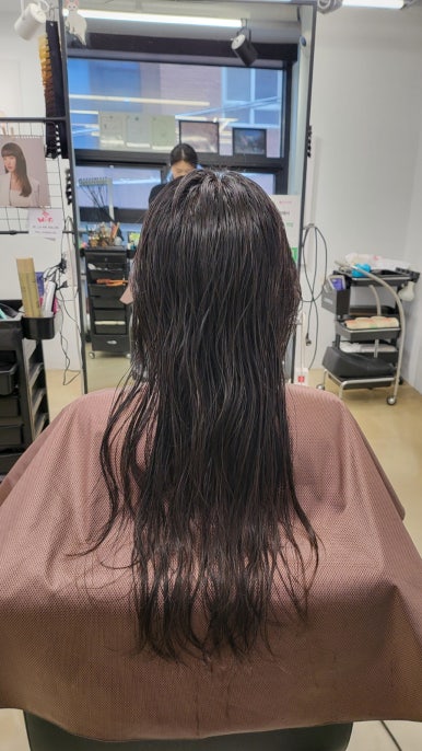 스타일링카케어 이미지