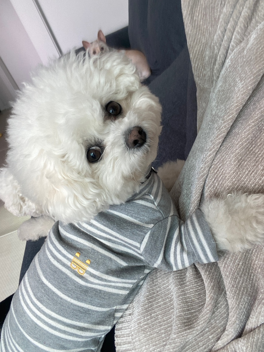 두리컴 이미지