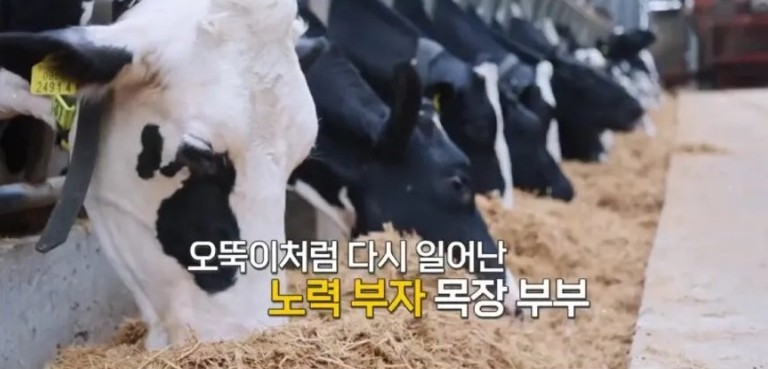 요거트가족 이미지
