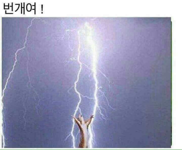 네일로와 이미지