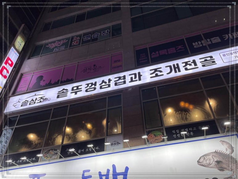 동백양과 이미지