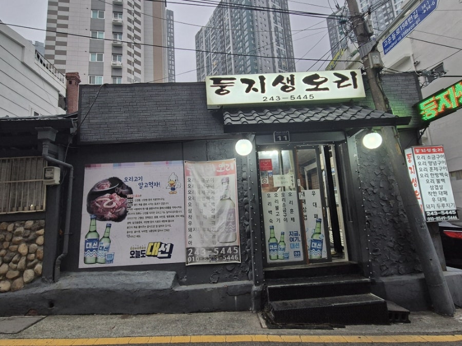 둥지생오리 이미지