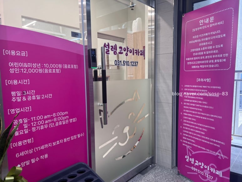 설렘고양이카페 이미지