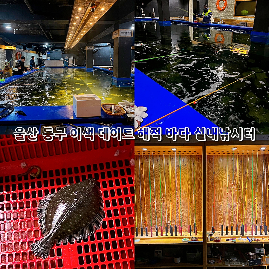 해적바다실내낚시터 이미지