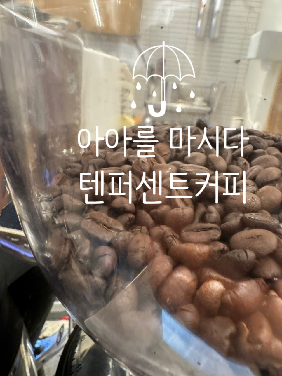 텐퍼센트커피 언양읍성점 이미지
