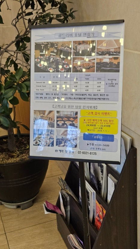 베로나 사진 5
