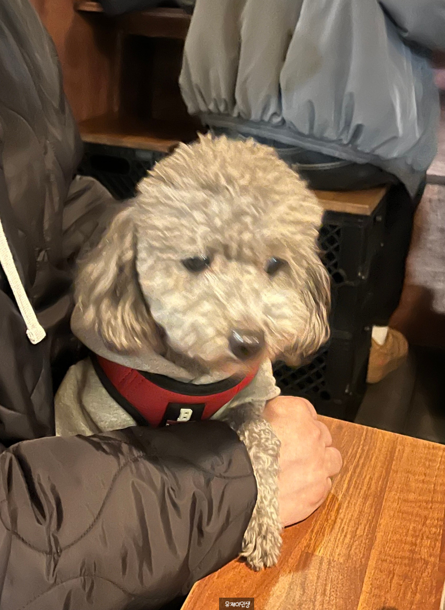 바사카이 이미지