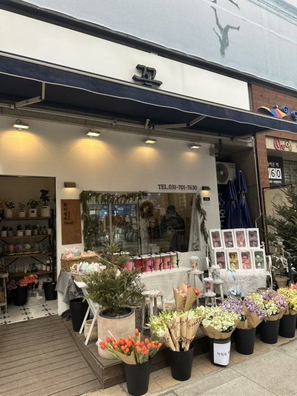 플라젠트 이미지