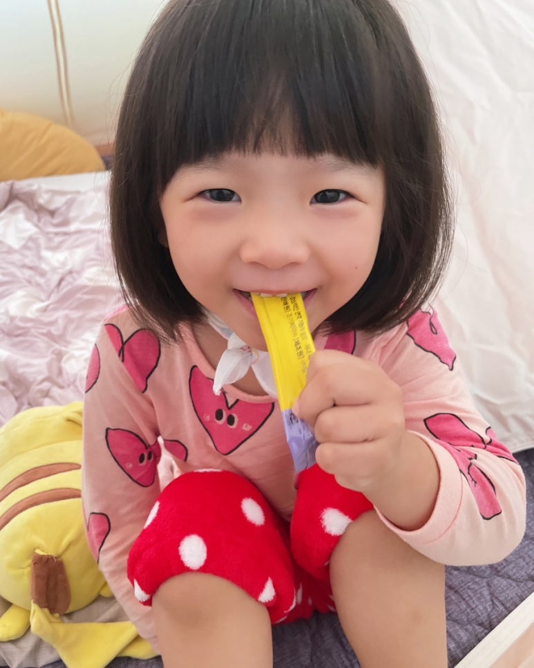 솜나라 이미지