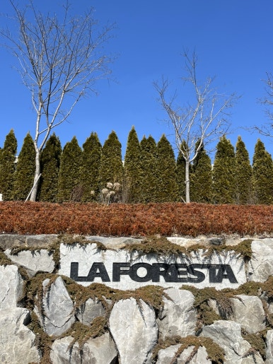 LAFORESTA(라포레스타) 이미지