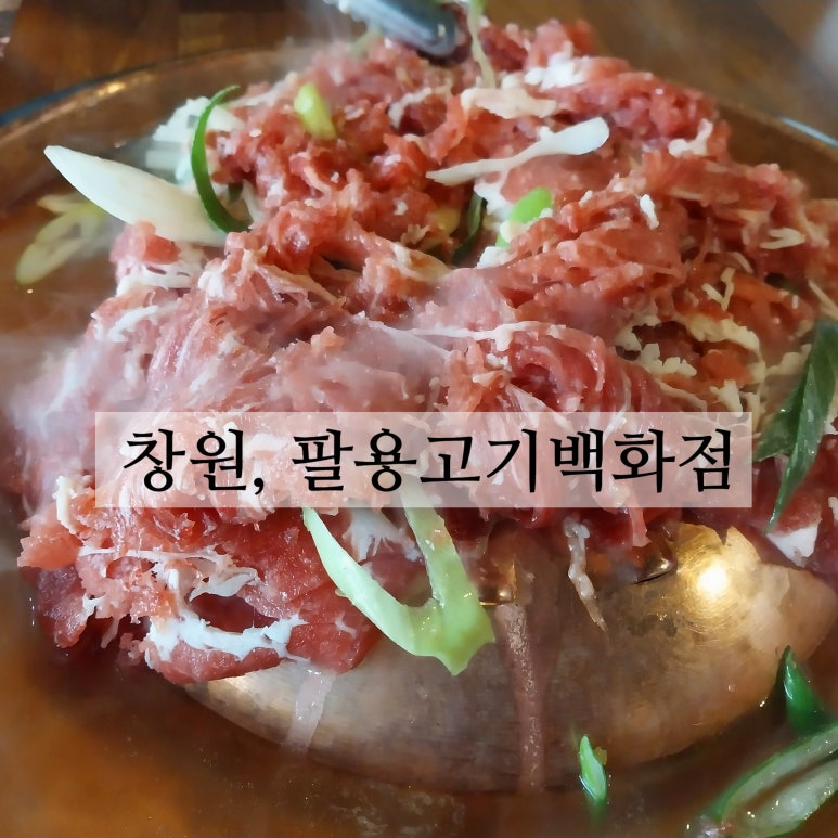 팔용고기 이미지