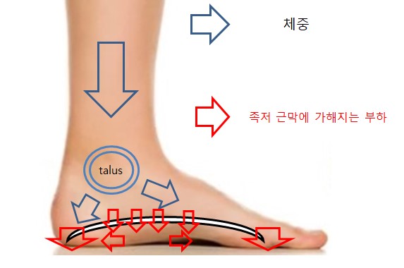 기능동작아카데미 이미지