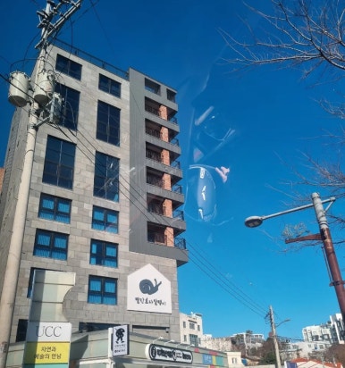 빨간모자달팽이 이미지