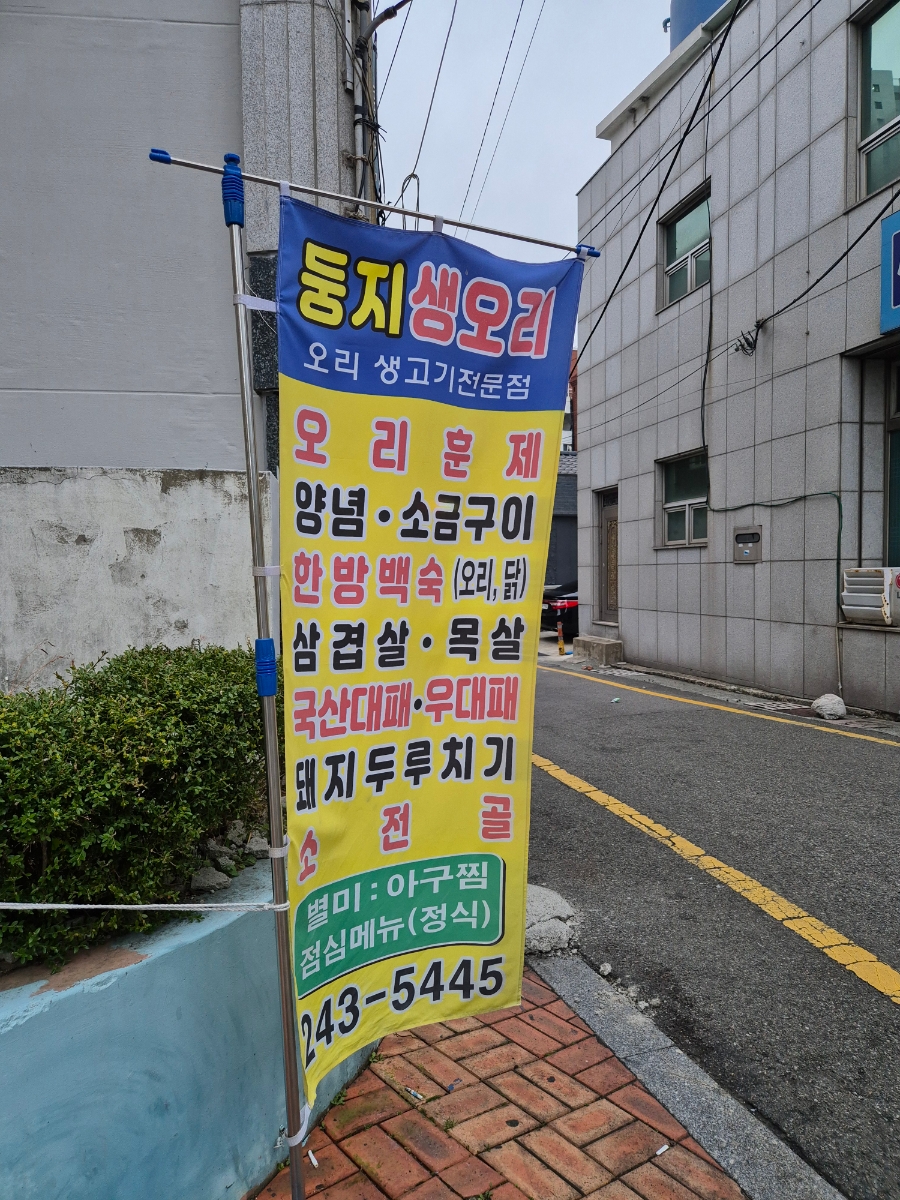 둥지생오리 이미지