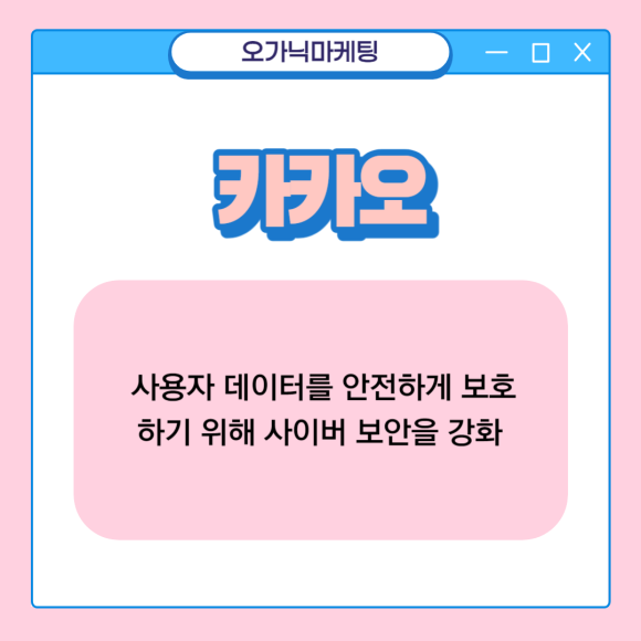 인정보시스템 이미지