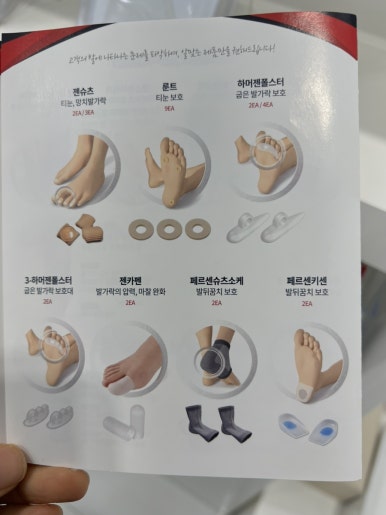 레푸스전주 이미지