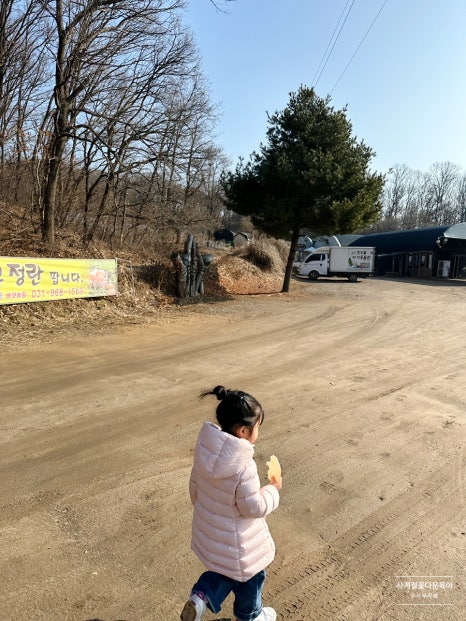 찬우물버섯농장 이미지