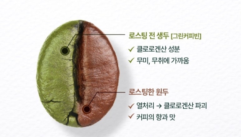 커피빈주 이미지