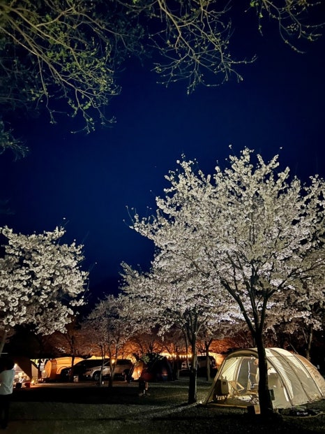 산솔캠핑장 이미지